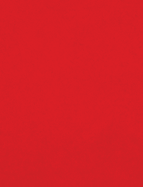 A red cloth with a red border. Description generated by AI