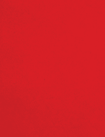A red cloth with a red border. Description generated by AI
