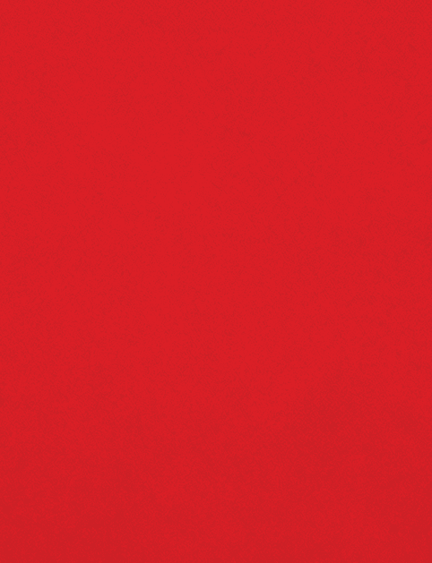 A red cloth with a red border. Description generated by AI