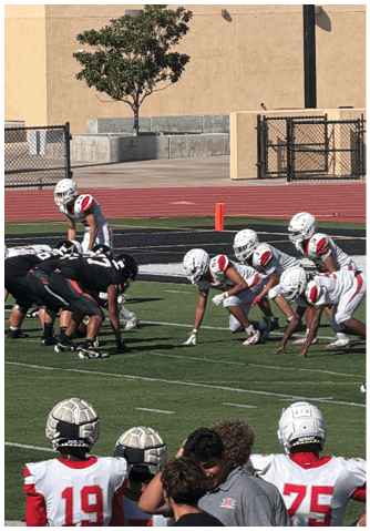 A football player catching a ball. Description generated by AI