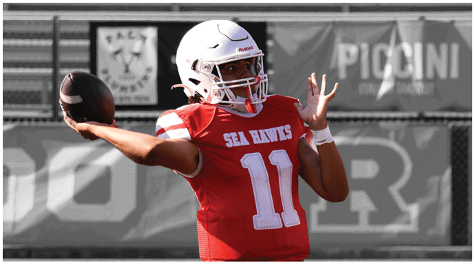 A football player wearing a blue and white uniform. Description generated by AI
