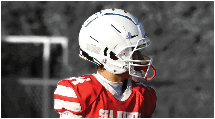 A football player wearing a blue and white uniform. Description generated by AI