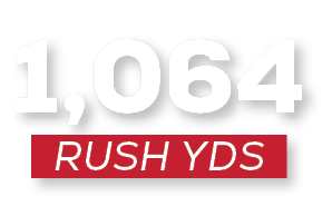 RUSH YDS,1,06