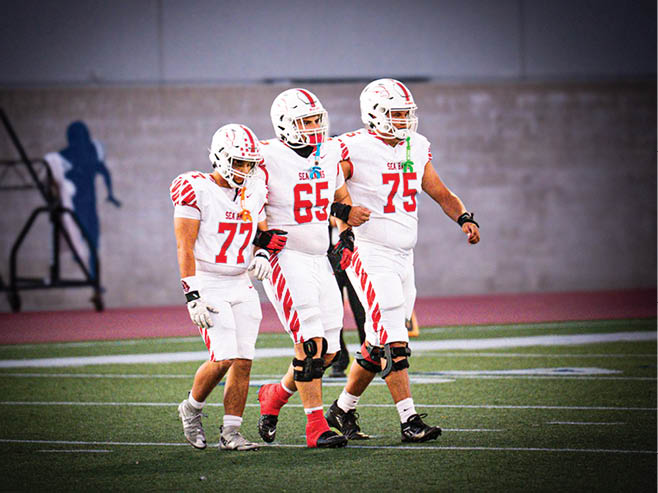 A group of football players in black and white uniforms are on the field. AI generated content