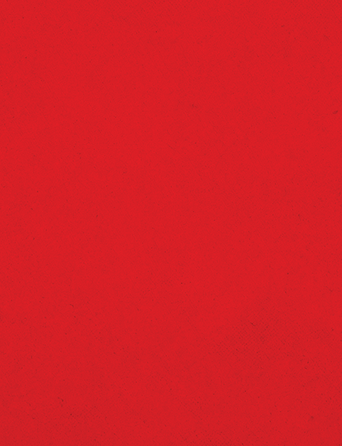A red cloth with a red border. Description generated by AI