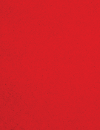 A red cloth with a red border. Description generated by AI