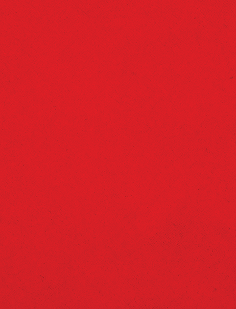 A red cloth with a red border. Description generated by AI