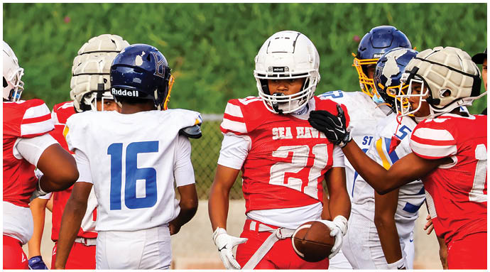 A football player wearing a blue and white uniform. Description generated by AI