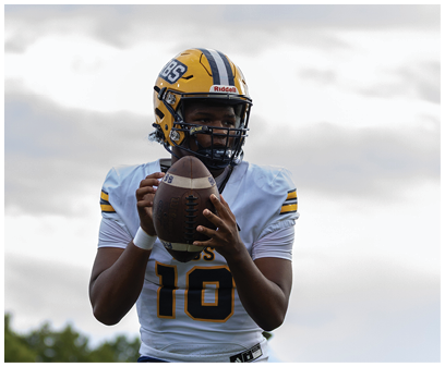 A person wearing a yellow and blue football helmet and uniform is holding a football in a ready-to-throw position outdoors with trees and a cloudy sky in the background. Description generated by AI
