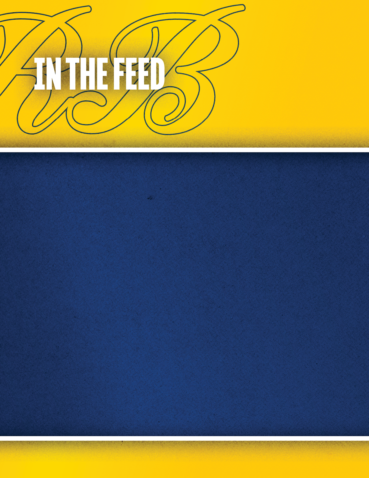 A graphic design with a yellow top section featuring the text “IN THE FEED" over a stylized "UB" and a solid blue bottom section separated by a thin white line. Description generated by AI