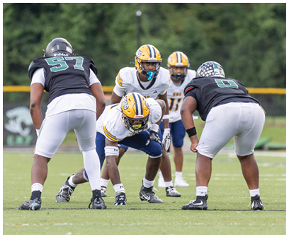 People wearing football helmets and uniforms are positioned on a grassy field, preparing for a play during a game. Description generated by AI