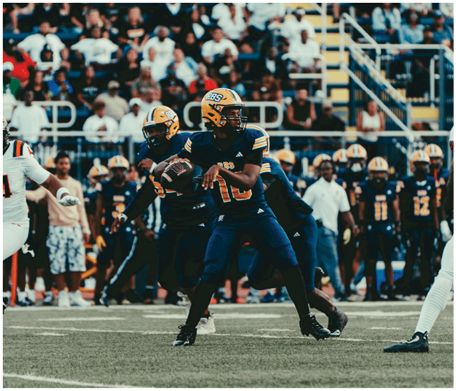 A group of people in football uniforms are playing on a field with a crowd of spectators seated in bleachers in the background. Description generated by AI