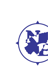 A blue compass rose with the letters N and E overlapping a blue abstract shape inside the circle. Description generated by AI