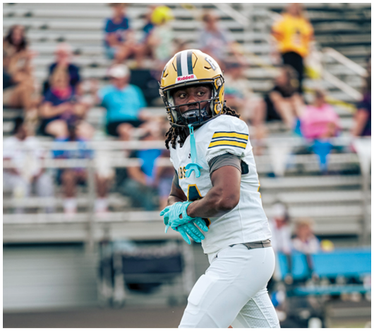 A person wearing a football uniform and helmet is standing on a field with blurred spectators in the background. Description generated by AI
