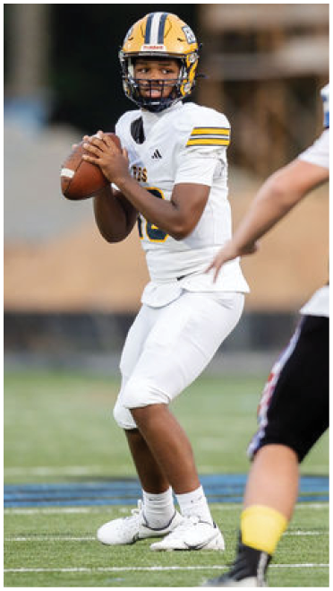 A person in a white football uniform is holding a football and preparing to throw while several players in black uniforms with helmets are positioned in front on a football field. Description generated by AI