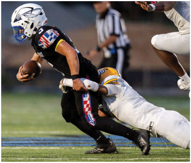 A person in a white uniform is tackling another person in a black uniform who is holding a football during a game on a grassy field. Description generated by AI