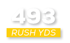 RUSH YDS,49
