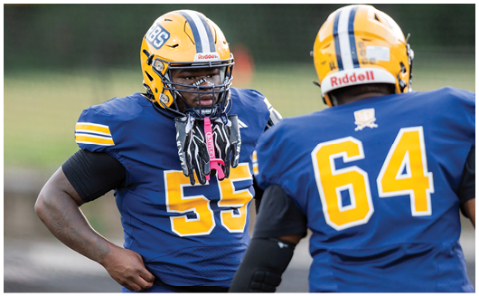 Two people wearing blue and yellow football uniforms and helmets are standing on a field, with one facing forward and the other facing away. Description generated by AI