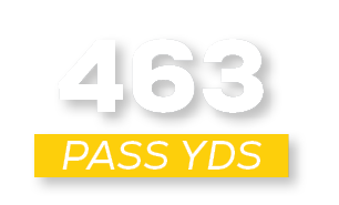 pass YDS,46