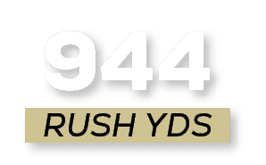 RUSH YDS,94