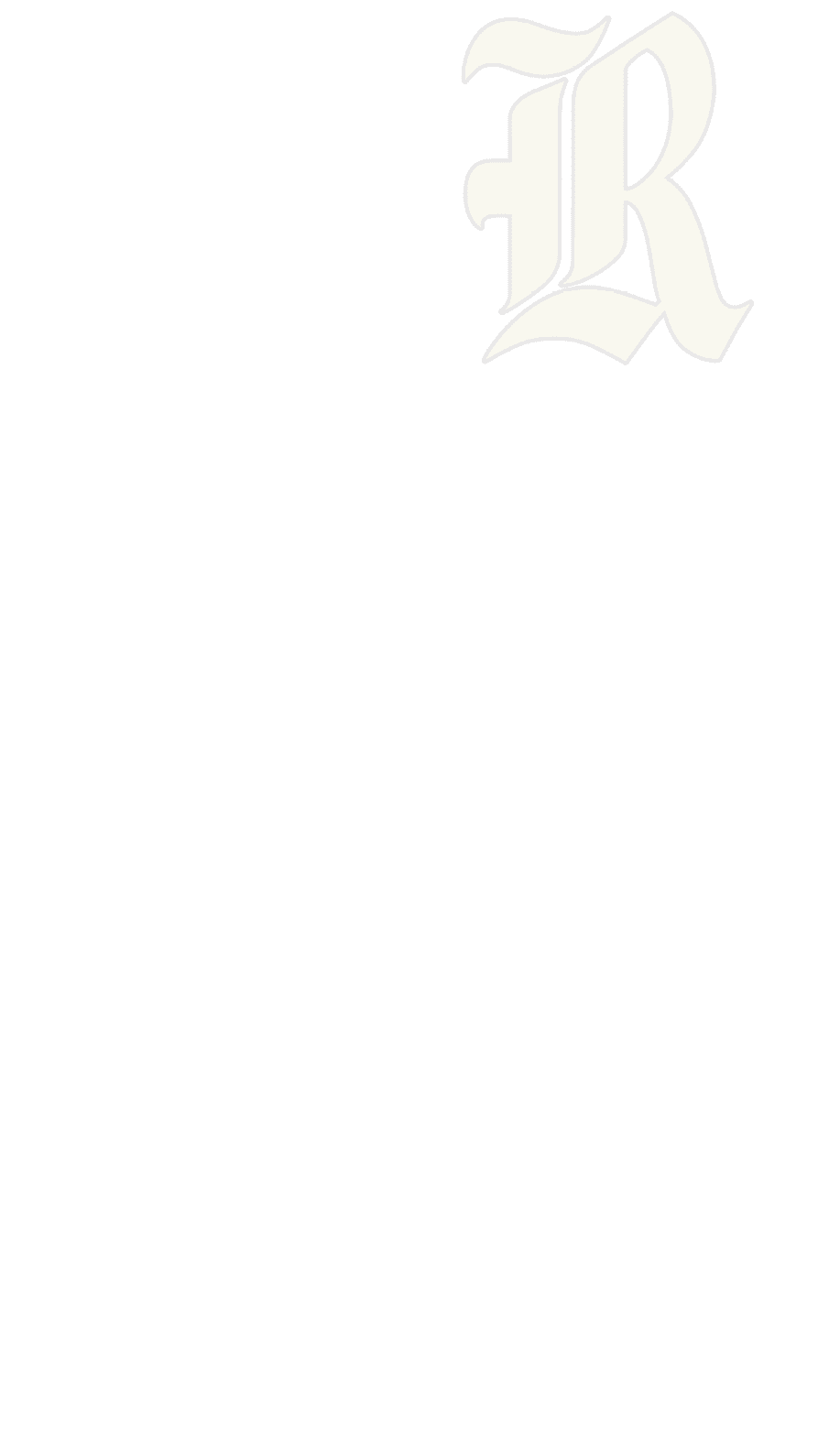 A logo for Dons football. Description generated by AI