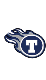 A blue and white logo for Valor. Description generated by AI