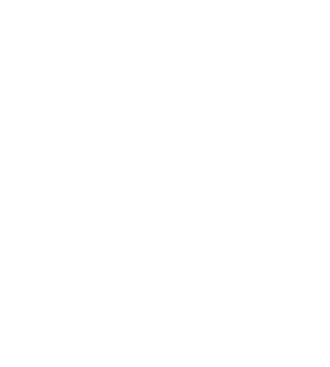 int,tfl,tds,pass YDS,RUSH YD