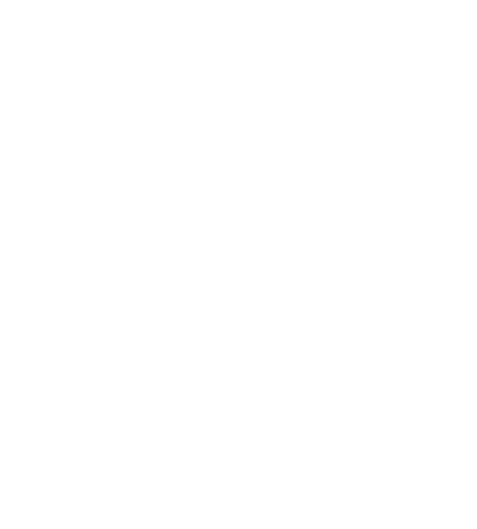 int,tfl,rush tds,pass YDS,RUSH YD