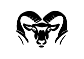 A red and black bird with a yellow beak. Description generated by AI