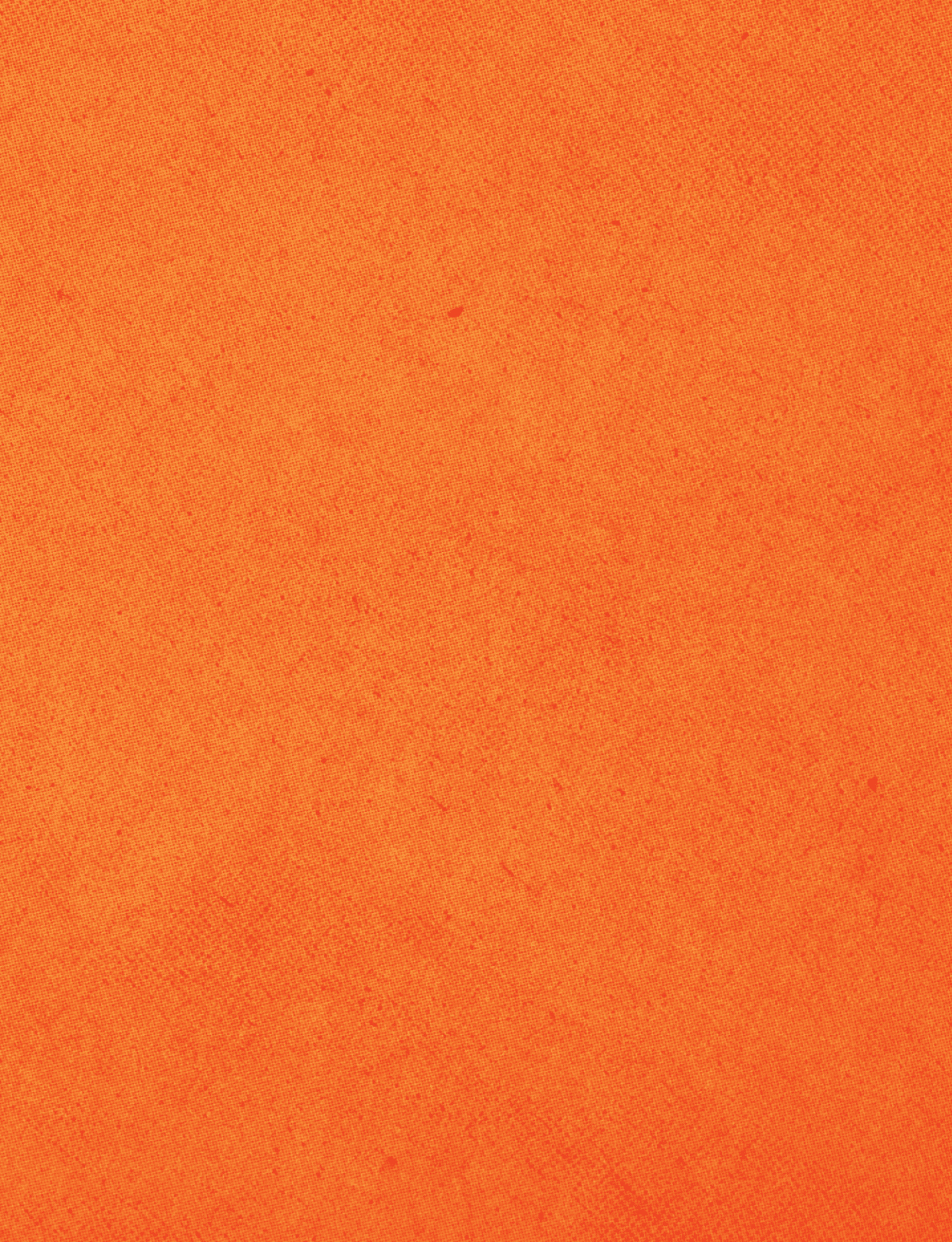 A red cloth with a red border. Description generated by AI