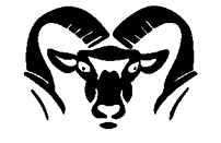 A red and black bird with a yellow beak. Description generated by AI