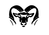 A red and black bird with a yellow beak. Description generated by AI