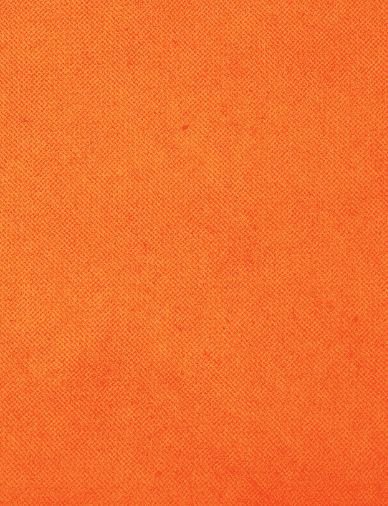A red cloth with a red border. Description generated by AI