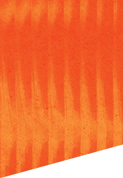 A green and white patterned background. Description generated by AI