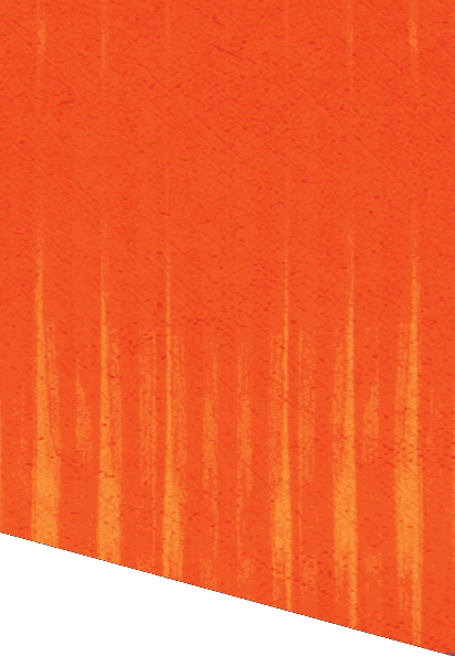 Green and white patterned background. Description generated by AI