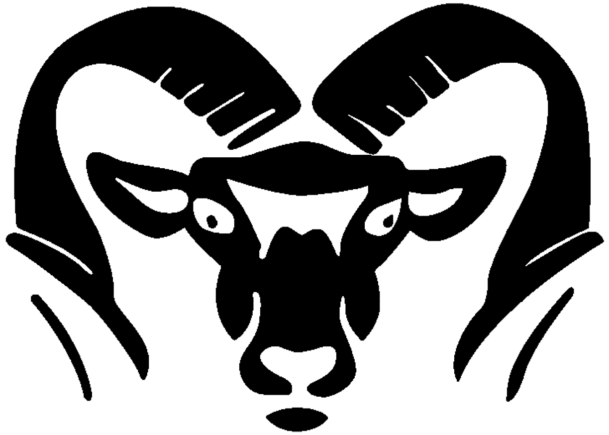 A red and black bird with a yellow beak. Description generated by AI