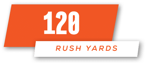 rush yards,12