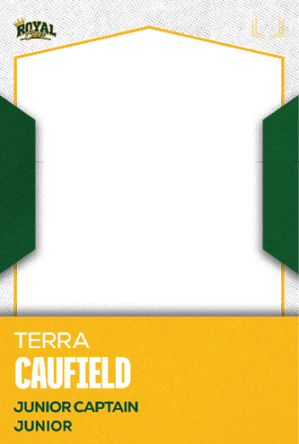 A football jersey with the number 1 on it. Description generated by AI