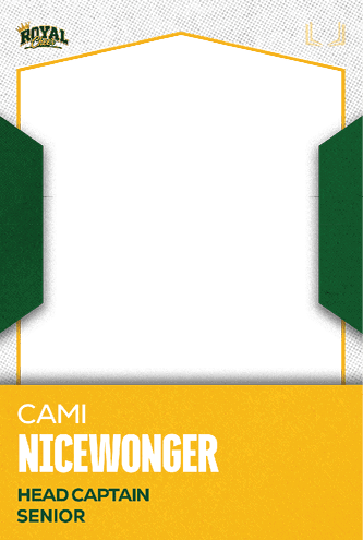 A football jersey with the number 1 on it. Description generated by AI