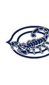 A stylized navy blue scorpion is centered inside a large white and navy blue letter C with a bold outline. Description generated by AI