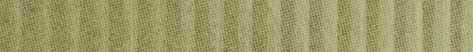 A close-up view of a textured surface with vertical ridges in a muted greenish-beige color. Description generated by AI