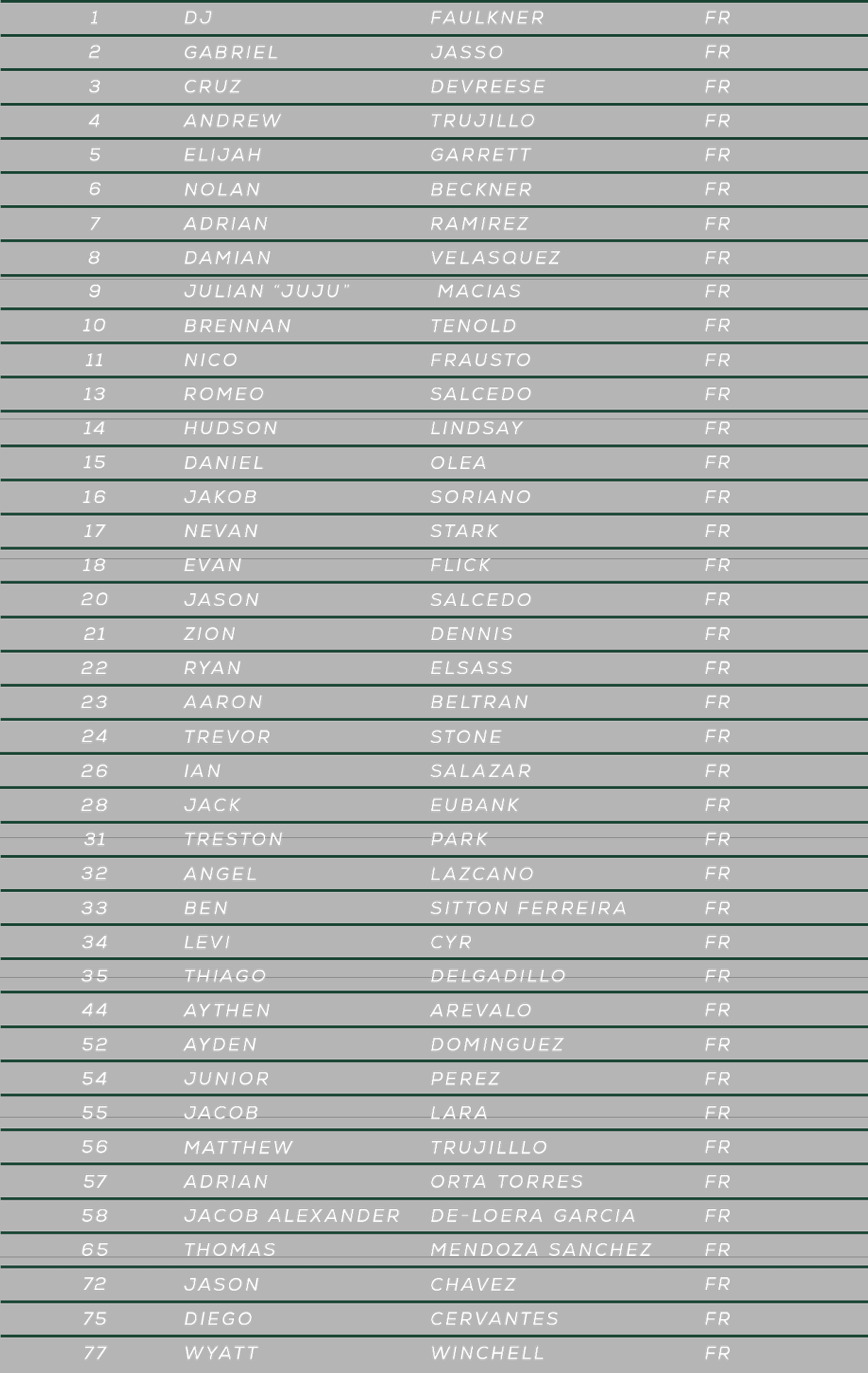 A table listing names, locations, and corresponding codes in a structured format with alternating row colors. Description generated by AI