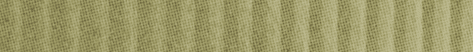 A close-up view of a textured surface with vertical ridges in a muted greenish-beige color. Description generated by AI