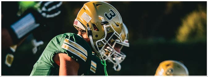 People wearing green and gold football uniforms and helmets are lined up on a field, preparing for a play. Description generated by AI