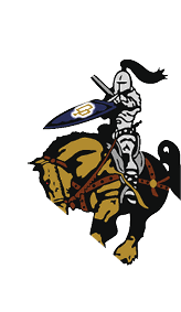 A stylized knight in armor riding a horse while holding a sword and a shield with a letter on it. Description generated by AI