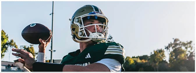 A person wearing a football helmet and uniform is preparing to throw a football outdoors with trees and a clear sky in the background. Description generated by AI