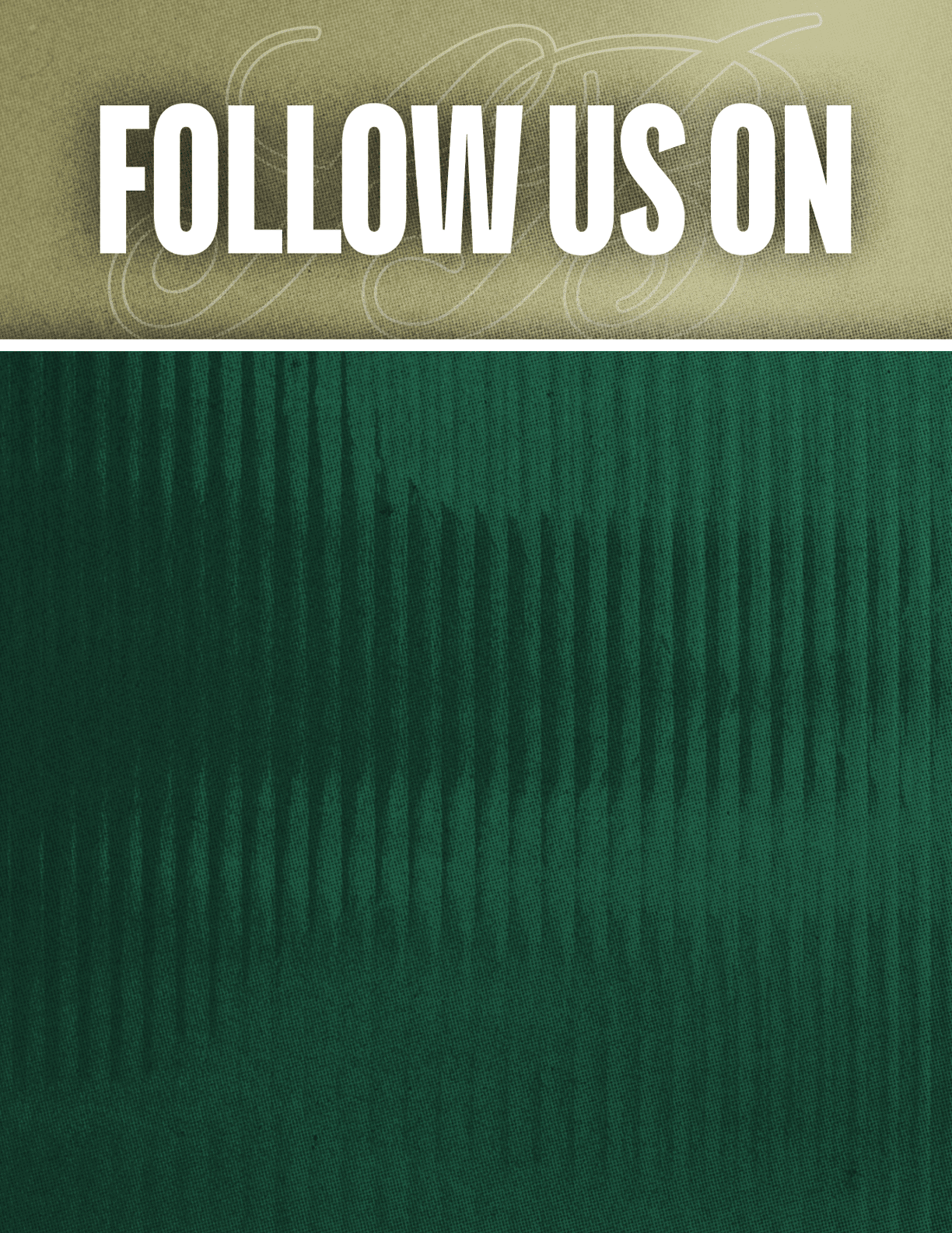 Follow us on social media with icons for Facebook, Twitter, Instagram, and YouTube displayed on a textured green background. Description generated by AI