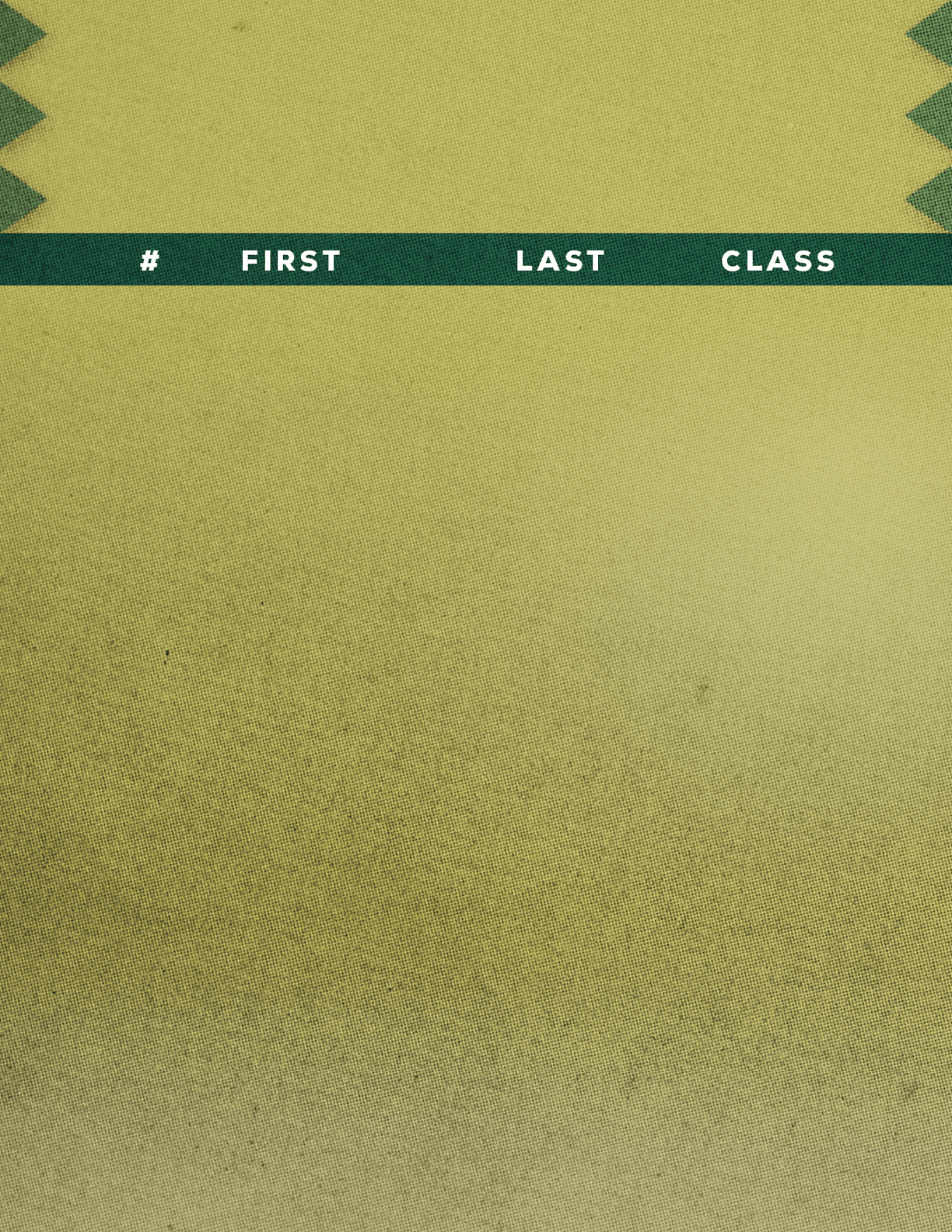 A green and yellow textured background with a dark green horizontal strip containing the words “# FIRST LAST CLASS" in white uppercase letters. Description generated by AI