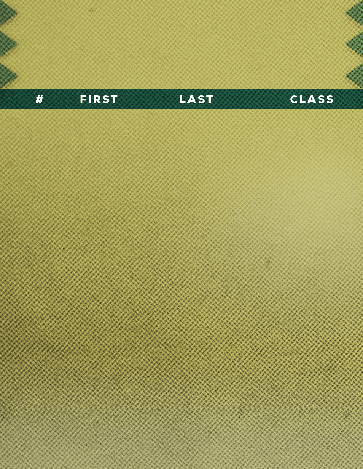 A green and yellow textured background with a dark green horizontal bar containing the words “NO," "FIRST," "LAST," and "CLASS" spaced evenly across it. Description generated by AI