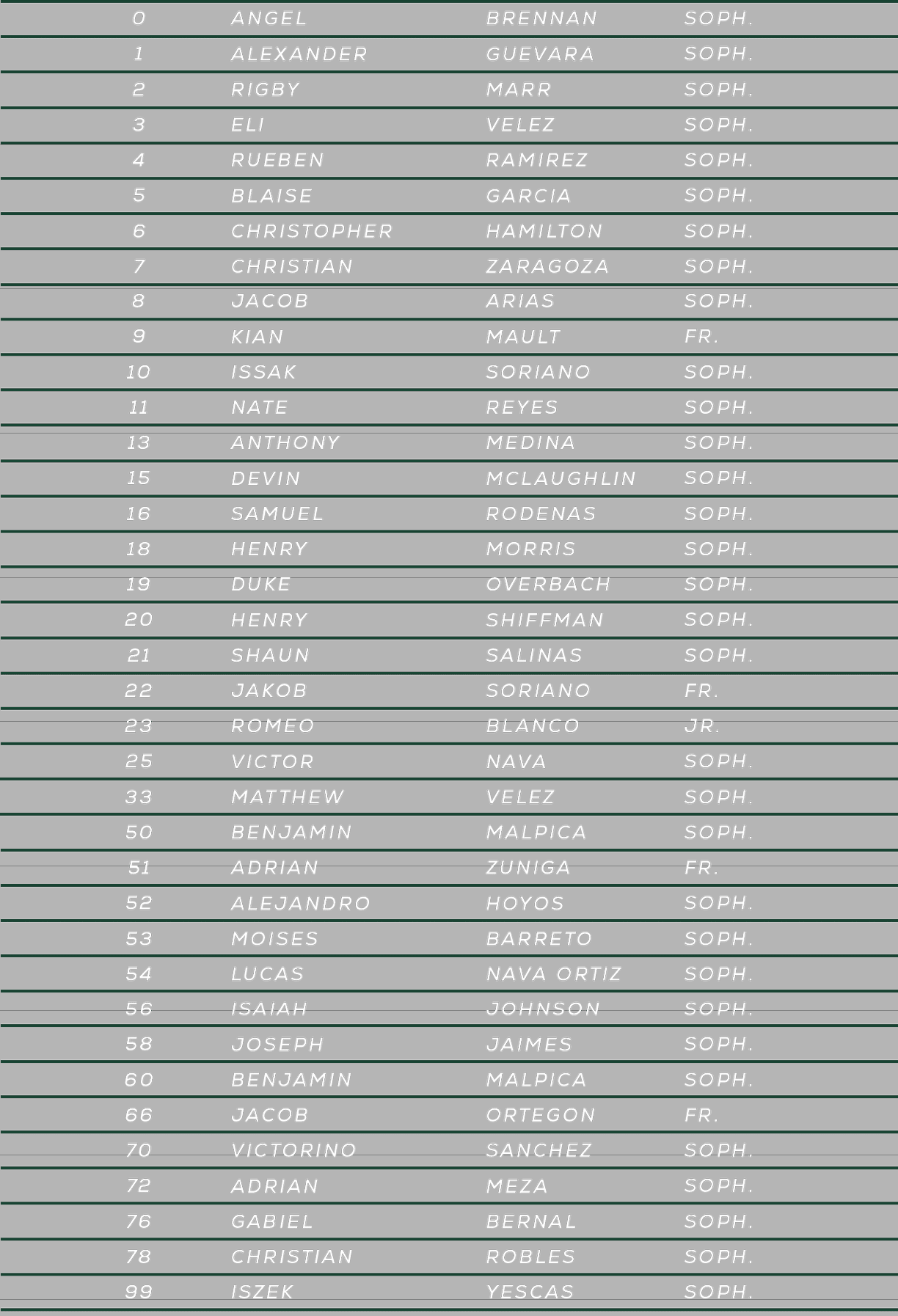 A table listing various numbered items with corresponding names, descriptions, and values arranged in rows and columns on a gray background. Description generated by AI